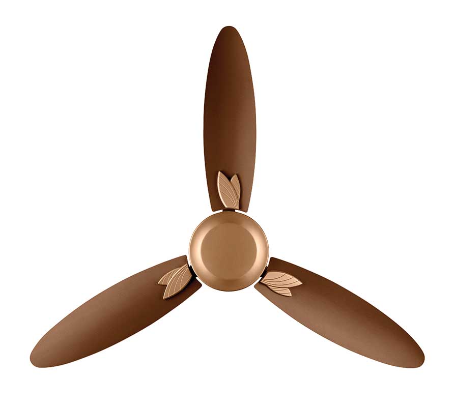 Read more about the article Usha Bloom Series Fans – A flower for every ceiling